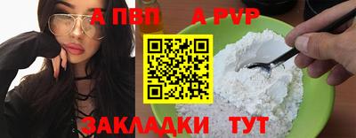 дурь Кингисепп