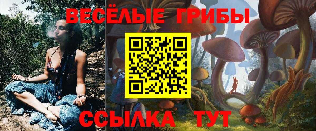 Галлюциногенные грибы Cubensis  Вход с VPN  Кстово 