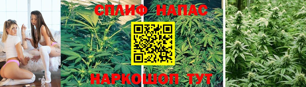 Бошки Шишки SATIVA & INDICA Кстово